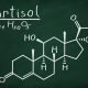 cortisol verlagen